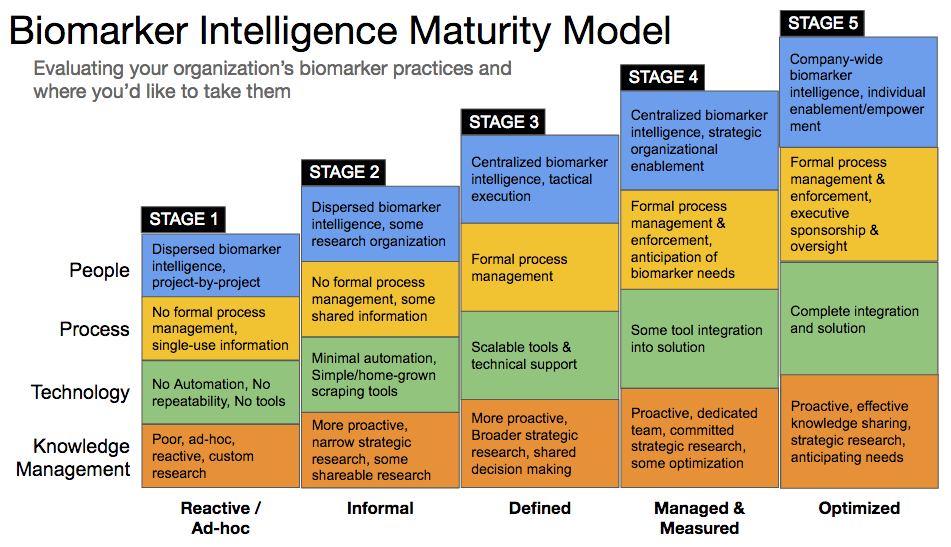 Maturity_Model.png